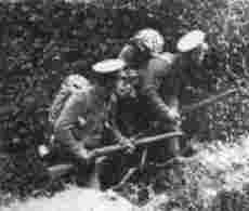Contemptible little army
