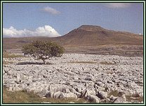 Ingleborough