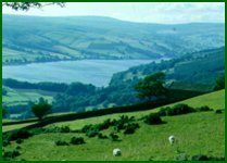 Reservoir View