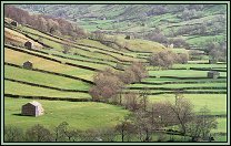 Swaledale